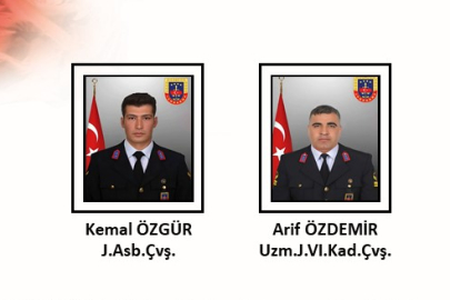 Olay Özeti