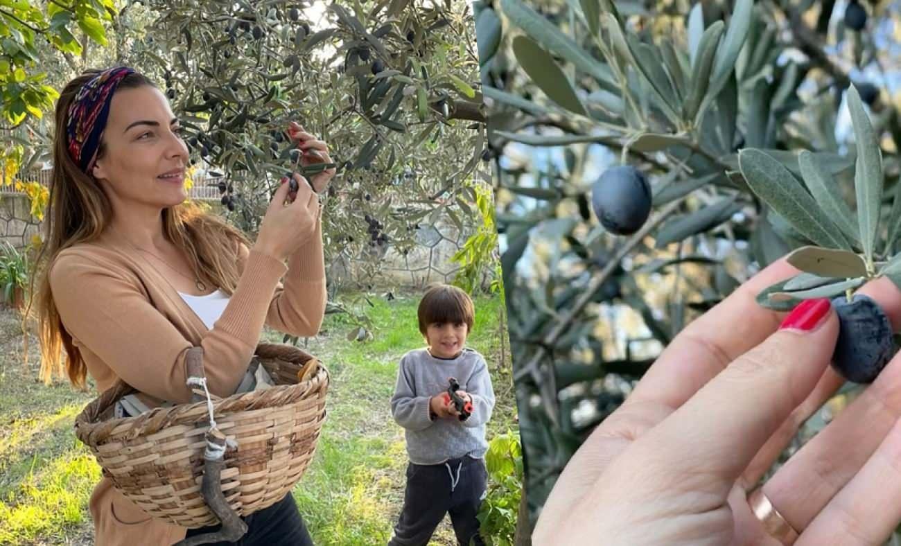 Burcu Kara Şehri Terk Ediyor: İznik’te Zeytinlik Kurdu! Satın Aldığı Çiftlik Beklenmedik Bir Şifreyle Ortaya Çıktı
