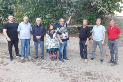 Mudanya’da Elektrik Trafo Projesi: Yeşil Alan ve Okul Güvenliğini Tehdit Edi̇yor