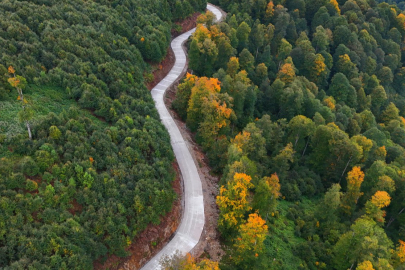 Yeşil Yol Projesi Kapsamında Ordu’da Çalışmalar