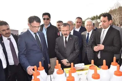 Tokat Modeli: Kurumlar Arası Sinerji