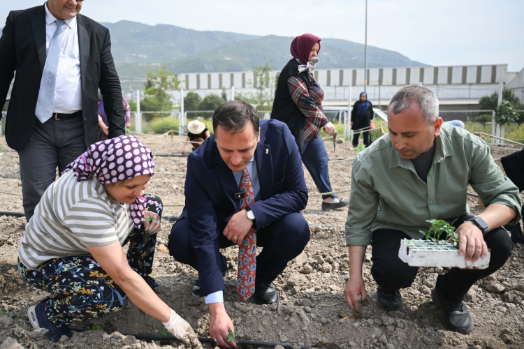 Bornova misketi: Kahveyle yenilenen misket üzümü