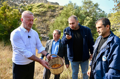 Alıç Meyvesinin Doğal Potansiyeli