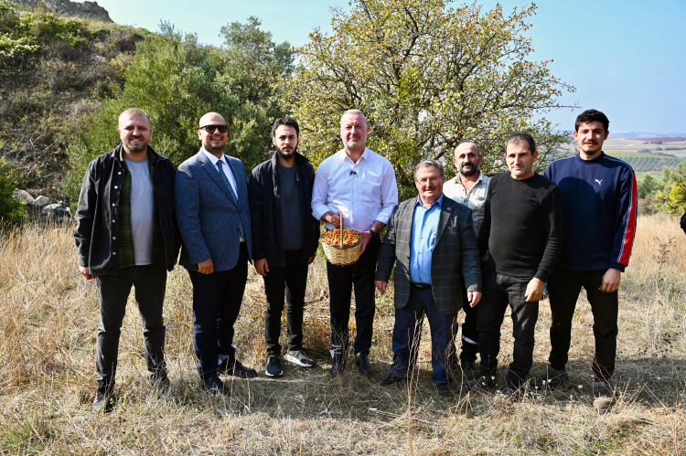 Yerel Üretim ve Marka Geliştirme