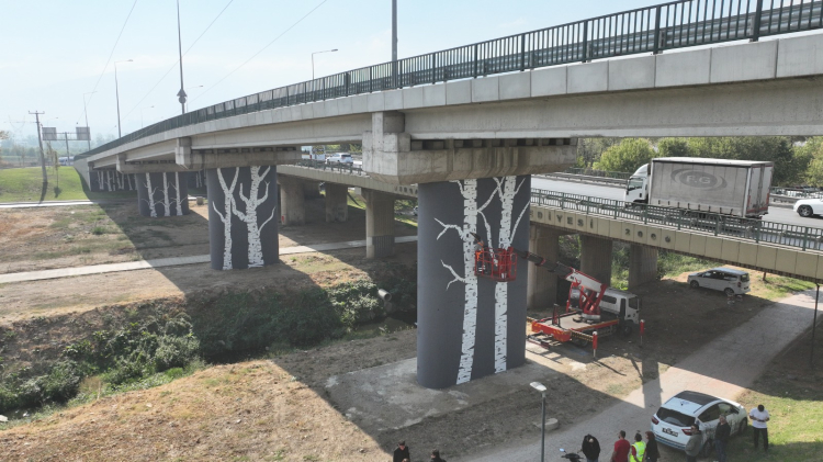 Uludağ Endemik Bitkileri ile Şehir Estetiği