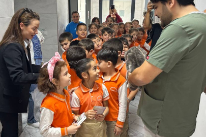 Çayırova’da Sokak Hayvanları İçin Ziyaret ve Eğitim
