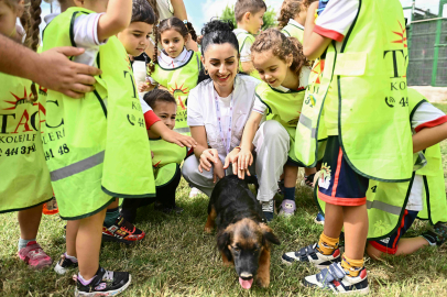 Barınakta Öğrencilerle Hayvan Sevgisi