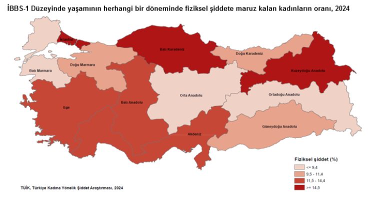 Erkeklerde Şiddetin Öfke Kontrolü: Psikolojik ve Fiziksel Yüzdeler