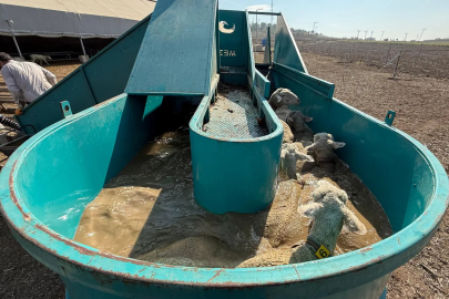 İnegöl Belediyesi’nin Kırsal Destekleri ve Hayvan Sağlığı