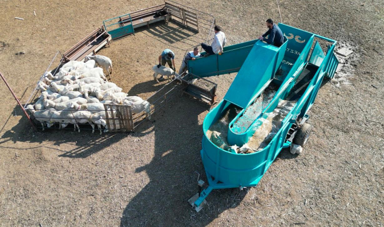 İnegöl Belediyesi’nin Kırsal Destekleri ve Hayvan Sağlığı