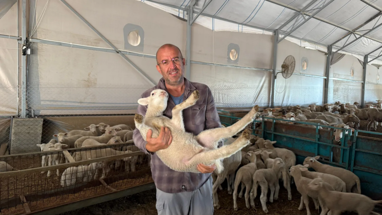 İnegöl Belediyesi’nin Kırsal Destekleri ve Hayvan Sağlığı