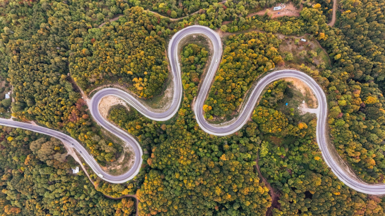 İnegöl Yolunda Renk Cümbüşü