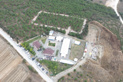 Hayvanları Koruma Günü’nde ortak sahiplenme mesajı