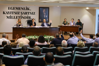 İzmir Meclisi: Efes Otoparkı Tepkisi