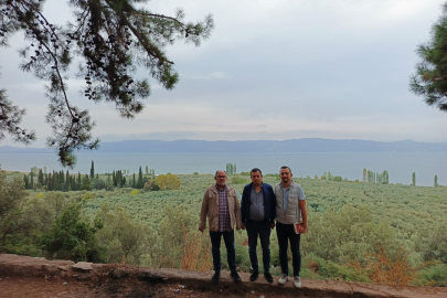 Marmarabirlik'ten Anıt Zeytin Ağaçlarına Özel Marka Vizyonu