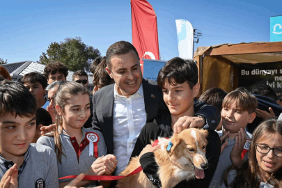 Doğal Yaşam Alanı projesiyle sokak hayvanlarına güvenli yuva