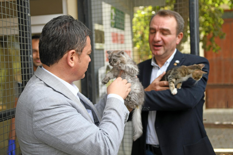 Doğa ve Hayvanlara Haklı Değer