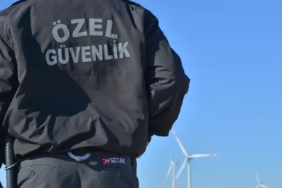Özet