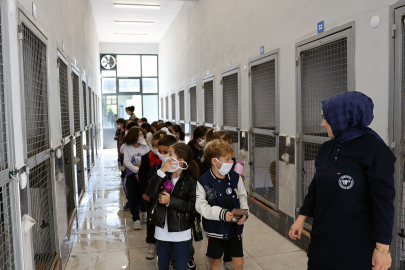Sokak Hayvanlarıyla Öğrencilerin Buluşması