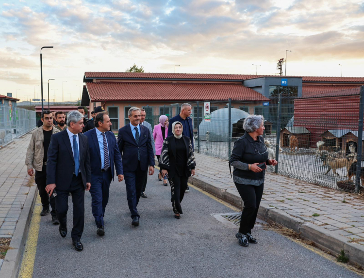 İçişleri Bakan Yardımcısı ile Şehir Ziyareti ve Doğal Yaşam Kampüsü