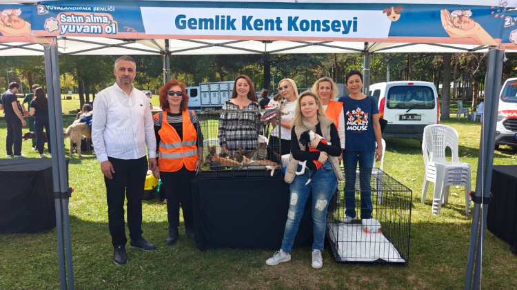 Etkinlik Özeti