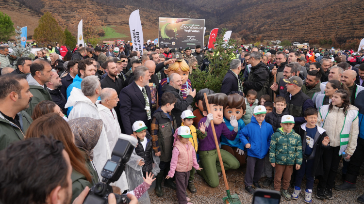 Bursa Gürsu'da Yangın Bölgesi Yeniden Canlanıyor