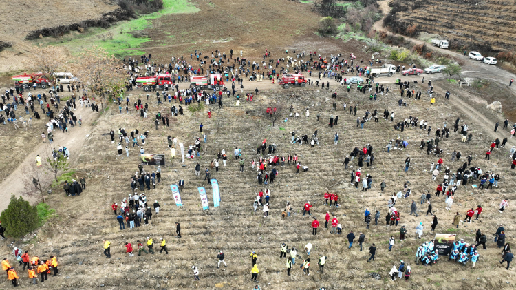 Bursa Gürsu'da Yangın Bölgesi Yeniden Canlanıyor