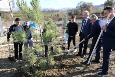 İnegöl'de Gençler 32 Fidanla Ağaçlandırmaya Katıldı