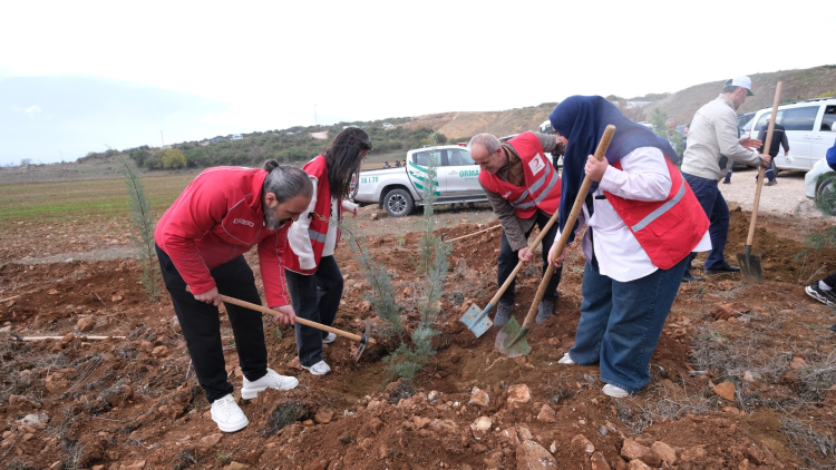 Milli Ağaçlandırma Bayramı ve Fidan Dikimi
