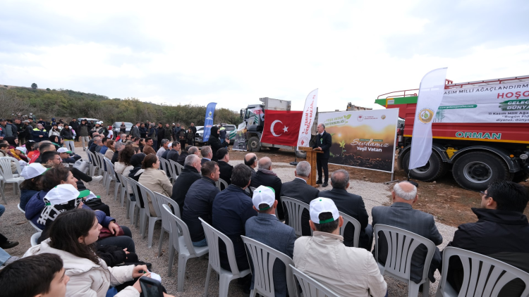 Milli Ağaçlandırma Bayramı ve Fidan Dikimi