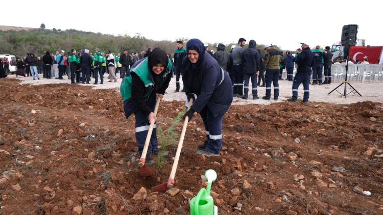 Milli Ağaçlandırma Bayramı ve Fidan Dikimi