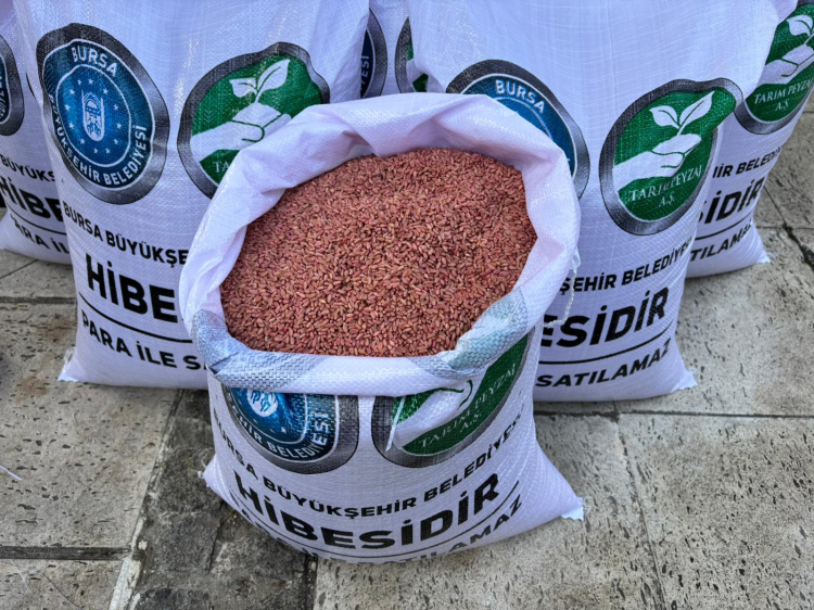 Mustafakemalpaşa’da tarımsal destek ve tohumluk dağıtımı