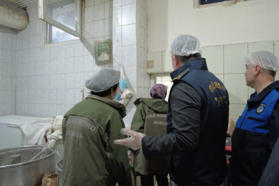 Denetimlerden Özeti