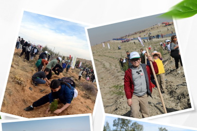 Fidanlar Toprağa Buluştu