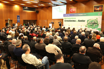 İklim Değişikliğine Karşı Kentler ve Ormanlar