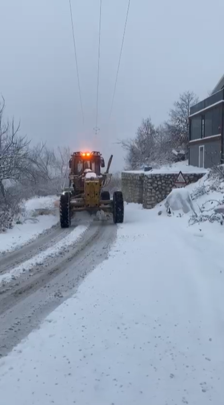 Karla Mücadele Çalışmaları