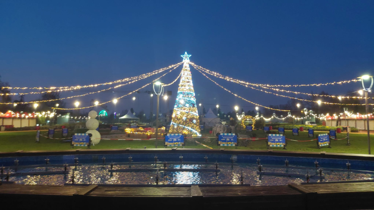 Yeni Yıl Meydanı: Eğlence ve Anılar Dolu 19 Gün