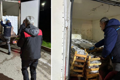 Bursa'da Su Ürünleri Denetimleri Sıkı