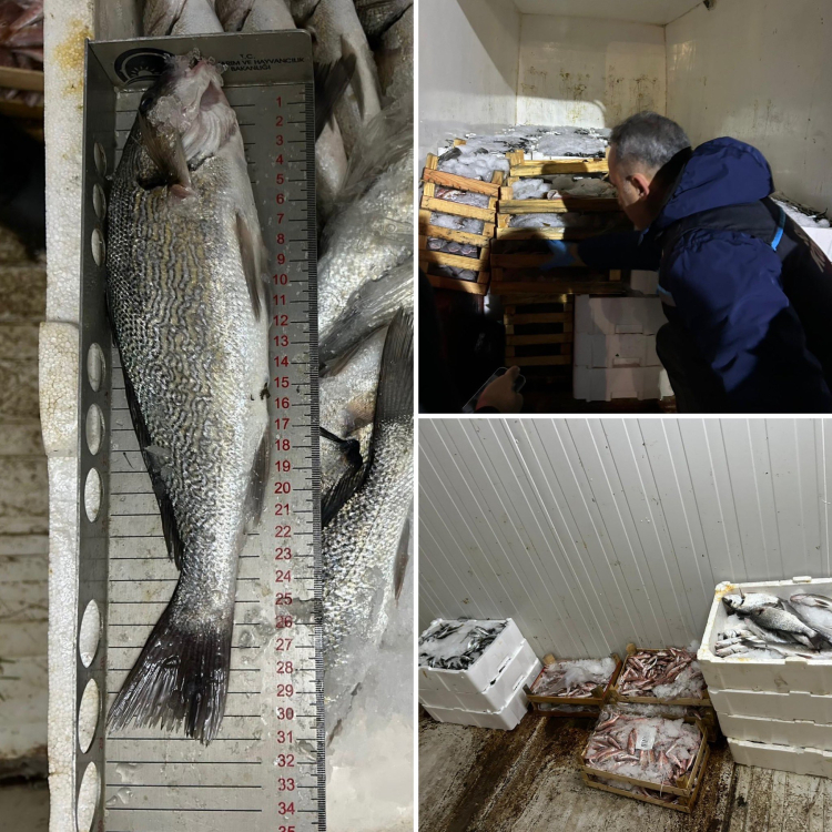 Bursa'da Su Ürünleri Denetimleri Sıkı