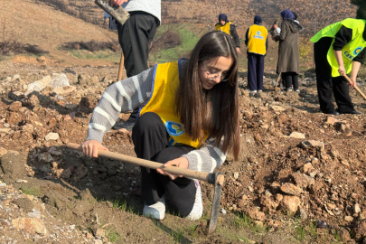 Gönüllü çalışmalarla doğa yeniden canlanıyor