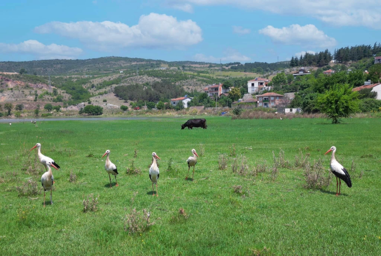İnegöl Kıyı Rekreasyon Projesi