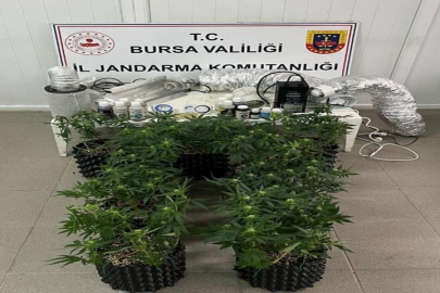 Bursa İnegöl'de Evde Esrar Üretimine Jandarma Baskını