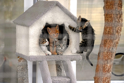 Bursa Osmangazi'de Dostların Kalbi