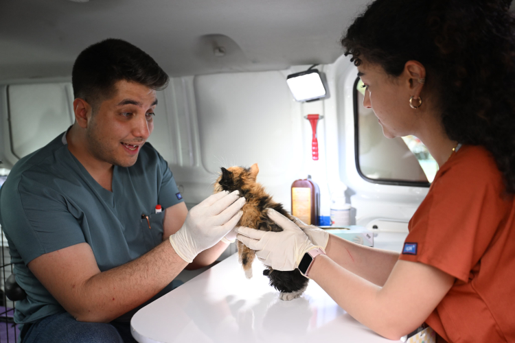 Bursa Yıldırım'da 2025te Sıcak Yuva