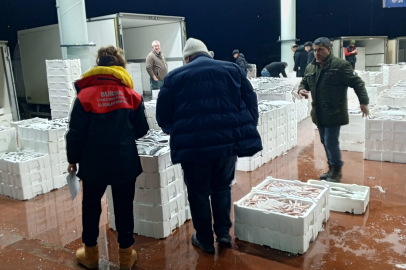 Bursada 150 kg Tekir Balığına El Konuldu