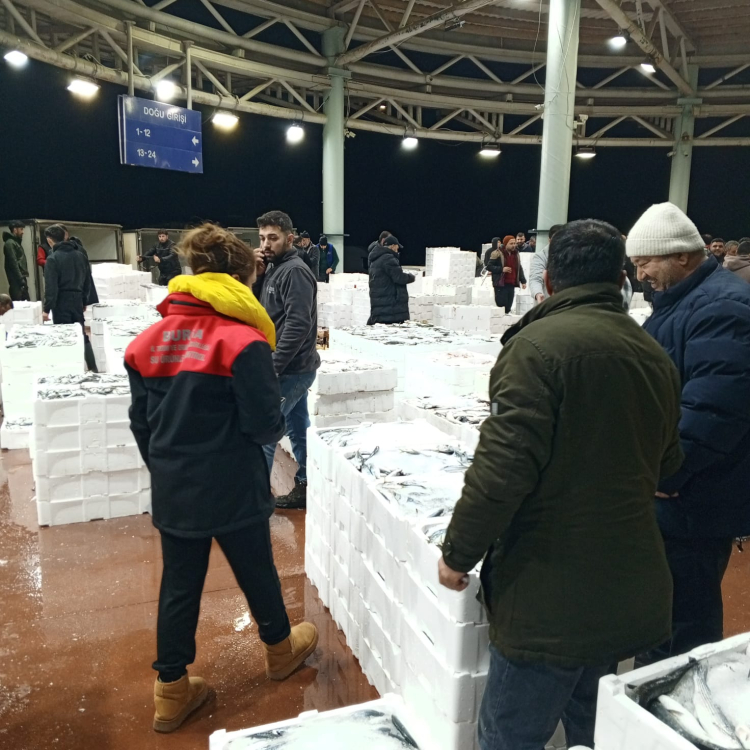 Bursada 150 kg Tekir Balığına El Konuldu