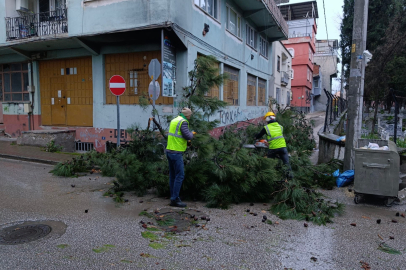 İlkyardım ve Müdahale