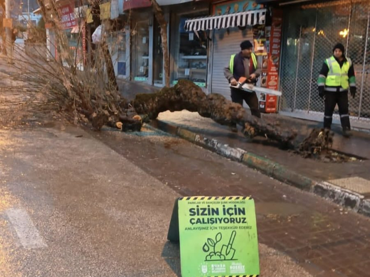 İlkyardım ve Müdahale