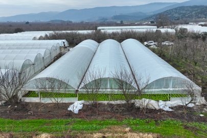 Afet Sonrası Seralarda Destek