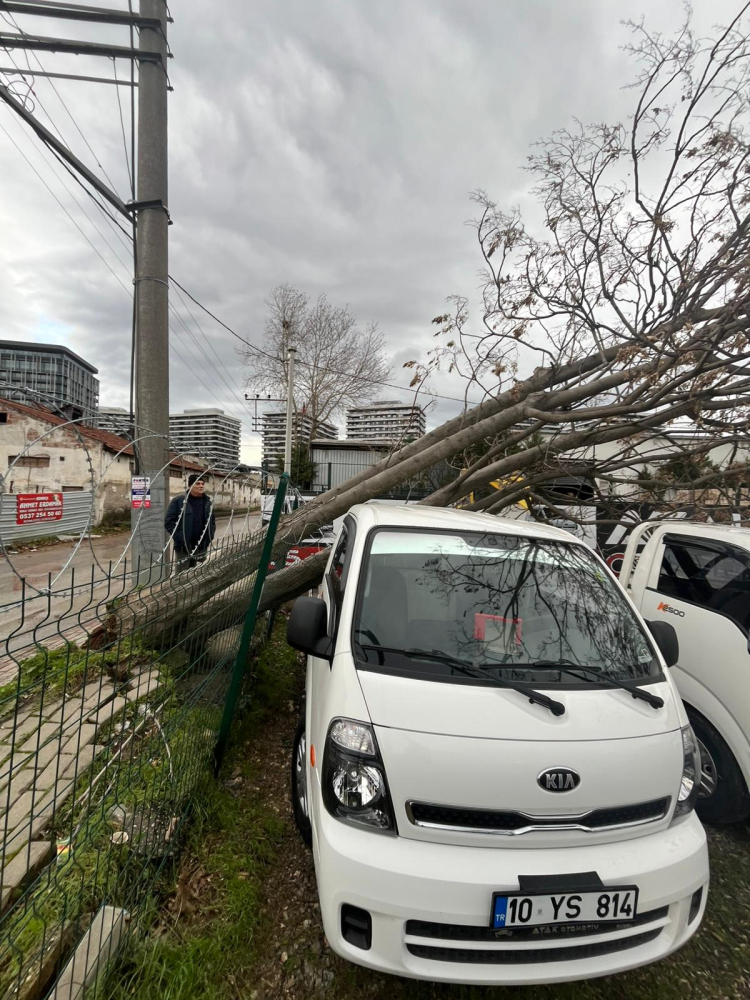 Bursada Şiddetli Lodosu Örgütledi: Osmangazi Hızlı Müdahale